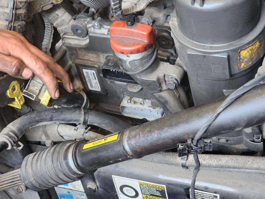 WhatsApp Image 2025-10-27 at 2.45.00 PM